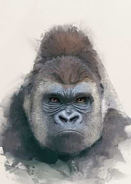 Gorilla Portrait
