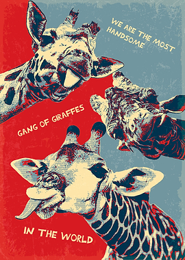 Gang of Giraffes Poster