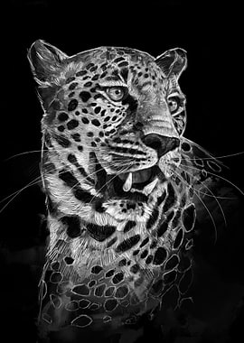 Leopard Portrait