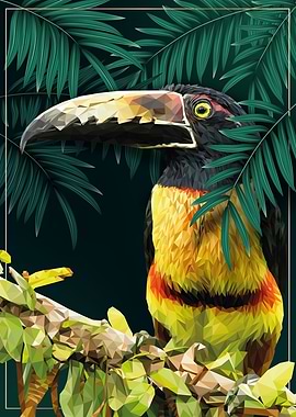 Collared aracari in Jungle