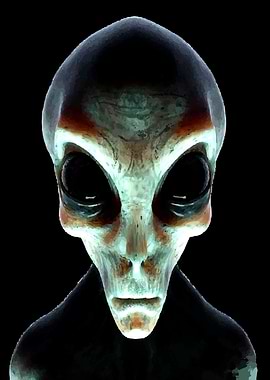Grey Alien Portrait