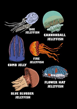 Jellyfish Types Marine Biology Gift Ocean Jellyfish