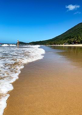 Ellis Beach Tropical North Queensland