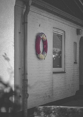 Lifebuoy on Brick Wall