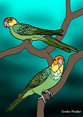 Carolina Parakeets
