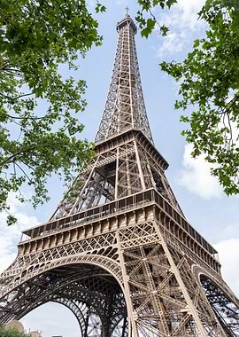 Eiffel Tower View