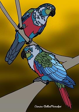 Crimson-Bellied Parakeet