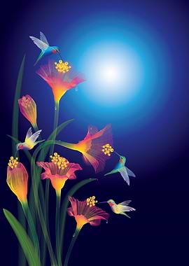 Hummingbirds and Flowers