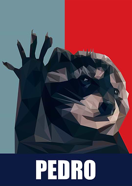 Raccoon Portrait - Pedro meme