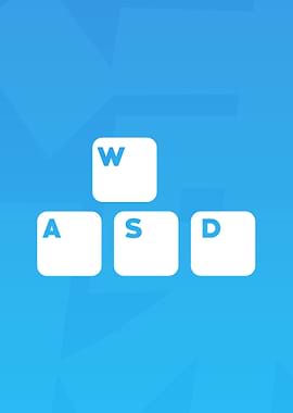 WASD Keys
