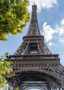 Eiffel Tower View