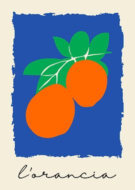 Orange Fruit Illustration