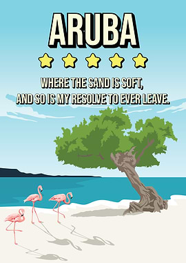 Funny Aruba Review Travel Poster