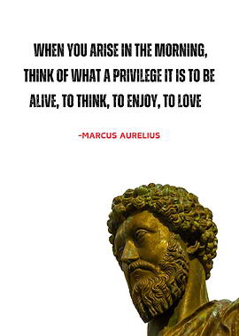 Marcus Aurelius Quote