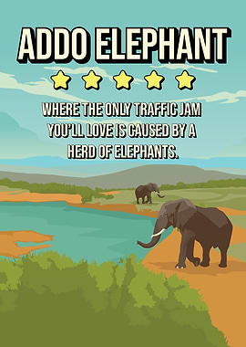 Funny Addo Elephant Africa Review Travel Poster