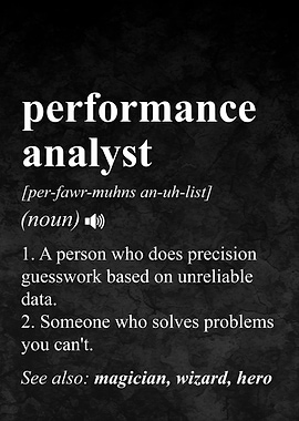 Performance Analyst Job Definition
