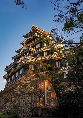 Okayama Castle at Sunset