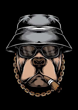 Dog in Sunglasses and Hat