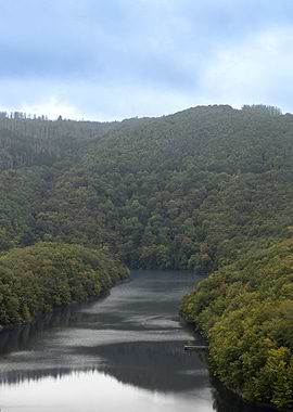 Serene Lake in Autumn Forest