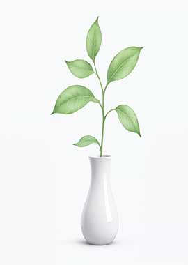 Green Plant in White Vase
