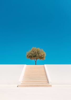 Tree on Stairs