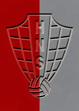 HNS Volleyball Logo