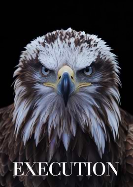 Eagle Close-Up