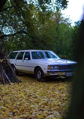 White Station Wagon in Autumn