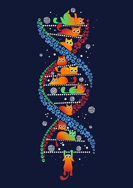 Cats DNA