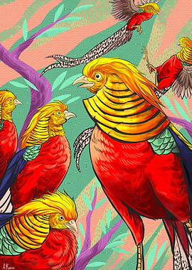 Golden Pheasant Illustration