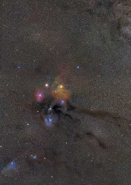 Rho Ophiuchi