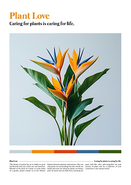 Bird of Paradise Plant Poster