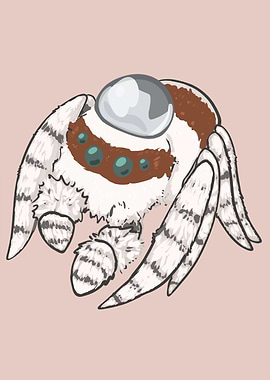 Jumping Spider with Water Drop Hat