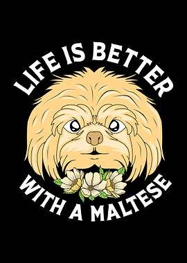 Maltese Life Is Better
