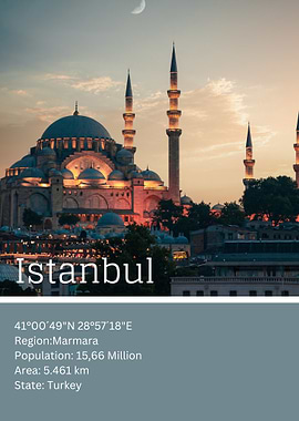 Istanbul Skyline at Dusk