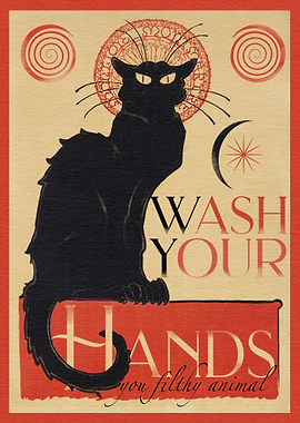 Black Cat Wash Your Hands