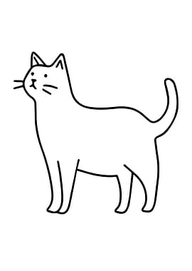 Cat kitty Illustration