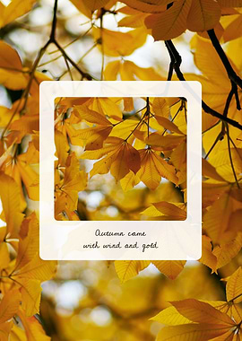 Autumn Leaves