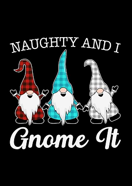 Naughty and I Gnome It Gnomes