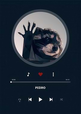 Raccoon Music Player meme