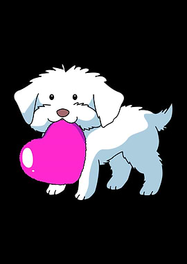 Cute Maltese Love