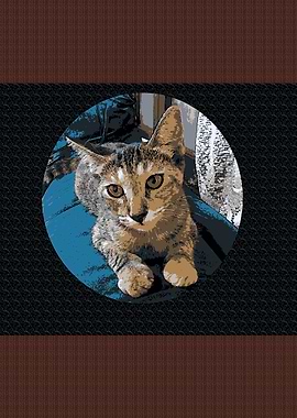 Cute Kitten Portrait