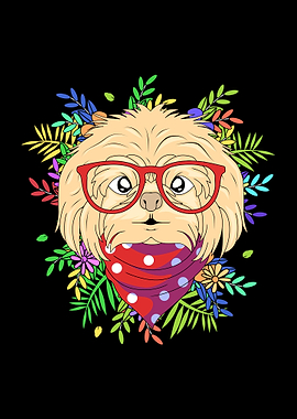 Maltese Dog Sunglasses