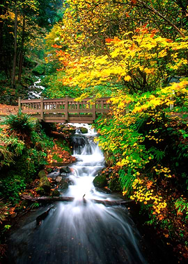 Autumn Waterfall Bridge