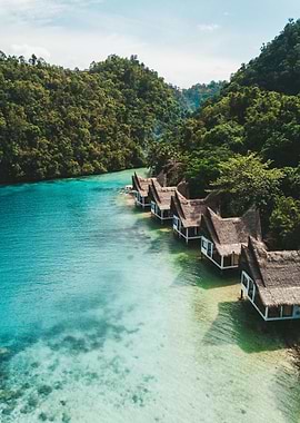 Tropical Overwater Bungalows