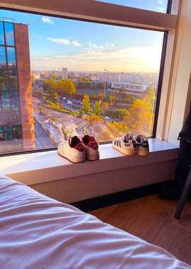 Paris View from Window