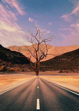 Lonely Road in Desert