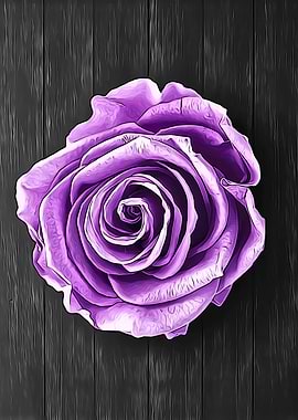 Purple Rose on Wood