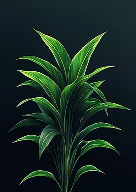 Green Plant on Black Background