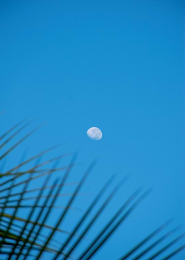 Moon in Blue Sky